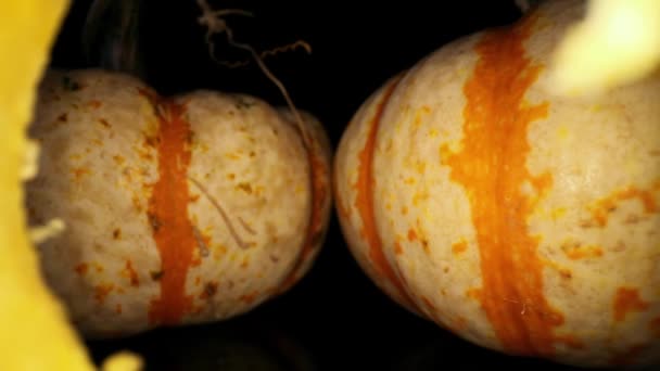 Pulling Away Two Orange Striped Gourds Moving Back Core Gourd — Stock Video