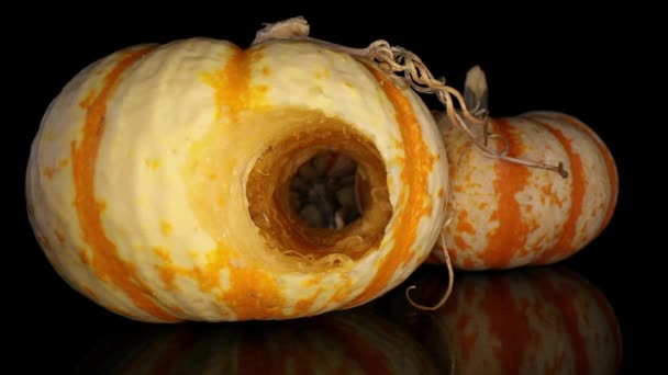 Slowly Moving One Decorative Gourd Multi Stranded Stem View Another — Stock Video