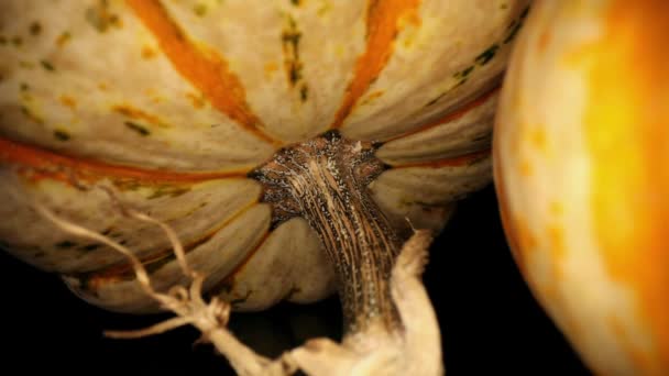 Allontana Una Zucca Posta Sul Suo Gambo Passando Accanto Altra — Video Stock