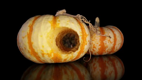 Långsamt Rör Sig Mot Dekorativ Gourd Med Multi Strandad Stam — Stockvideo