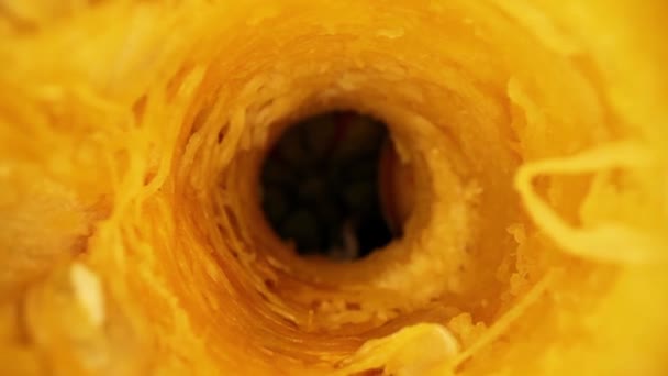 Moving Core Cored Out Gourd Pushing See Great Macro View — Stock Video