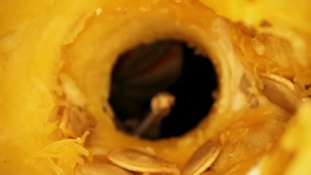 Zurückziehen Durch Das Innere Des Entkernten Kürbisses Sich Mehrere Samen — Stockvideo