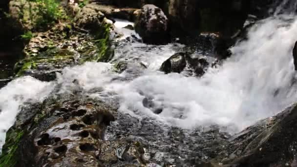 Sped Water Cascading Small Creek Bed Going Rocks Continuing Drop — Stock Video