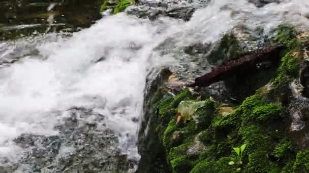 Egy Hosszú Vékony Driftwood Darab Párhuzamosan Fekszik Egy Kis Vízesés — Stock videók