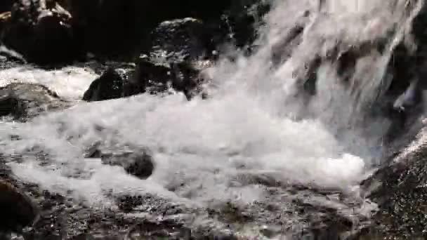 Esparció Agua Cascada Base Una Pequeña Cascada Rodeada Rocas Todos — Vídeos de Stock