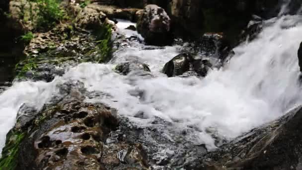 Riegue Suavemente Cascada Desde Pequeño Lecho Arroyo Que Pasa Por — Vídeos de Stock