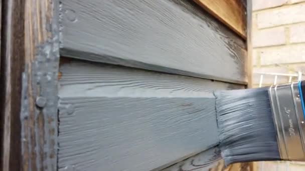 Shot Paint Brush Applying Dark Grey Paint Wooden Shed — Stock Video