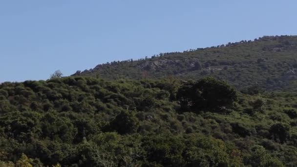 Ein Malerischer Sattgrüner Bergrücken Einem Abgelegenen Ort Über Dem Berg — Stockvideo