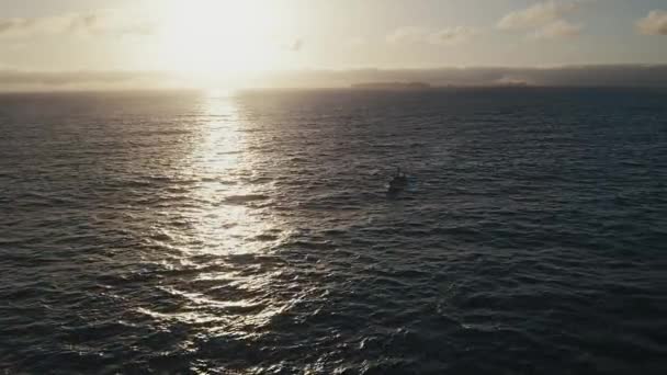 Aeronave Deslumbrante Barco Pesca Que Retorna Para Casa Depois Pescar — Vídeo de Stock