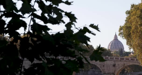 Купол Святого Петра Заднем Плане Расстоянии Листьями Деревьев Переднем Плане — стоковое видео