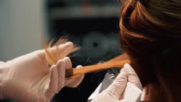 Salonstylist Bereitet Das Haar Des Kunden Für Die Farbbehandlung Vor — Stockvideo