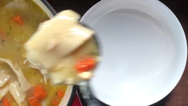 Top View Ladling Homemade Chicken Dumplings Large White Bowl — Stock Video