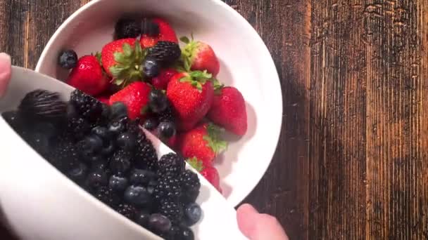 식탁에 올려놓기 블루베리 블랙베리를 열매를 곁들여 놓는다 — 비디오