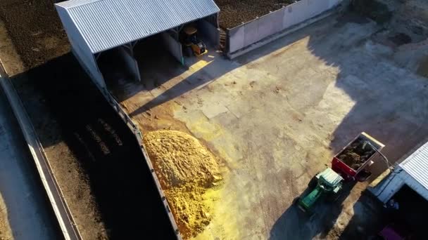 Drohnenschuss Des Nutzfahrzeugs Der Viehwagen Belädt Während Bauern Ihre Tägliche — Stockvideo