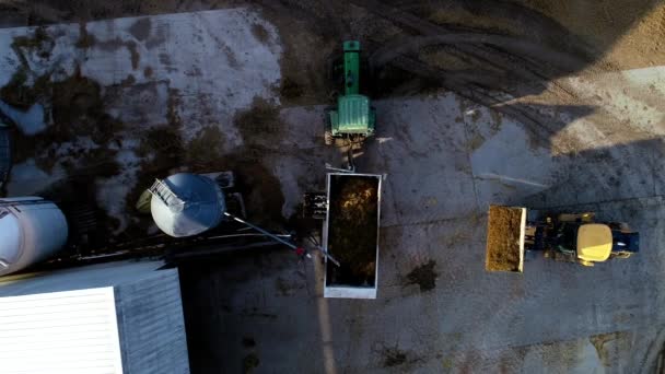 Drone Top Shot Ładowarki Załadunku Wozu Bydlęcego Jak Rolnicy Wykonują — Wideo stockowe