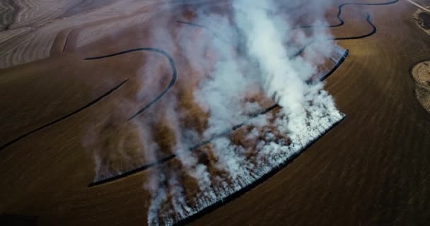 Vista Aerea Contadino Terrazze Ardenti Con Grandi Nuvole Fumo Volando — Video Stock