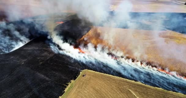 从空中俯瞰着大烟云和草原的燃烧 飞越规定的燃烧和浓烟 — 图库视频影像
