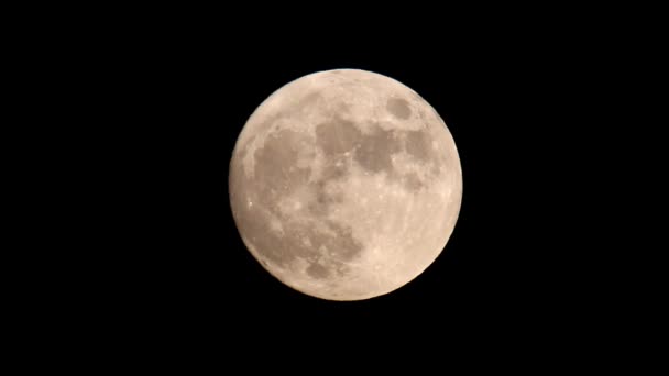 Luminosa Luna Piena Arancione Giallo Impostato Contro Cielo Nero Scuro — Video Stock