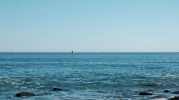 Wide Angle Shot Far Whale Jumping Out Water — Stock Video