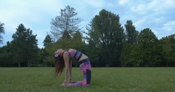 Jovem Fêmea Atraente Fazendo Yoga Grama Fazendo Posição Camelo Namaste — Vídeo de Stock