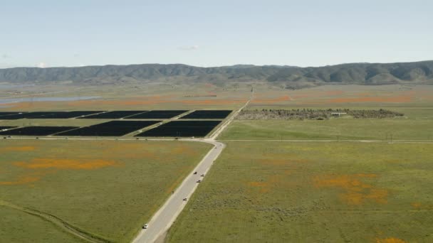 Volando Sobre Paneles Solares Amapolas California — Vídeos de Stock