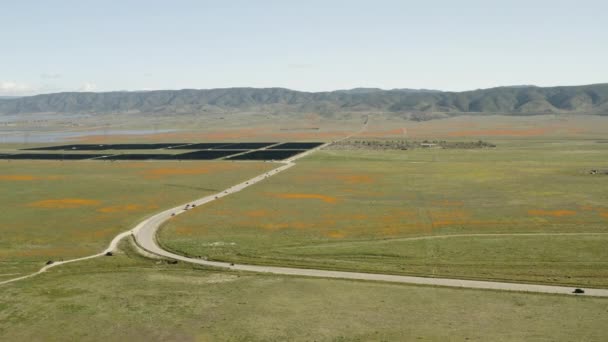 Latanie Nad Farmą Słoneczną Antelope Valley California Poppy Reserve — Wideo stockowe