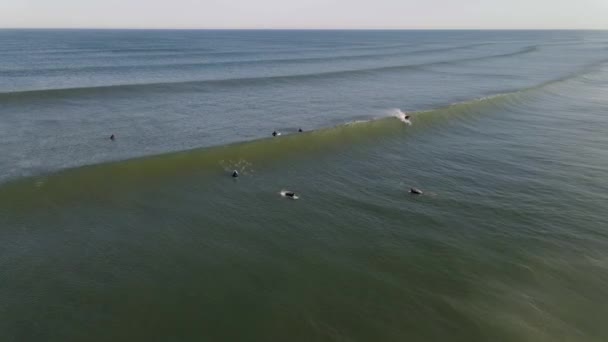 Surfistas Alineación Surfista Tomando Una Ola — Vídeos de Stock
