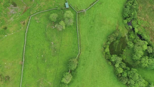 Bovenaanzicht Vanuit Lucht Een Groen Boerenland Met Scheidingswanden Een Heldere — Stockvideo