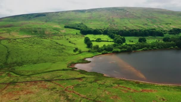 Aerial Shot Lake Surrounded Green Countryside Bright Summers Day — Stock Video