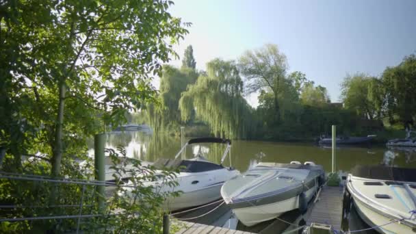 Boten Haven Een Rivier Natuur — Stockvideo