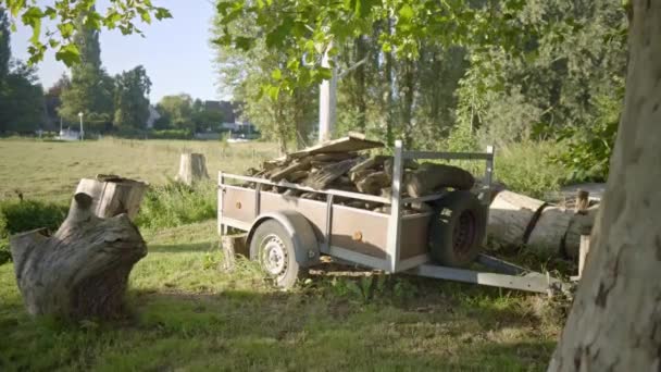 Ein Wagen Voller Feuerholz Steht Unter Einem Baum Rande Einer — Stockvideo
