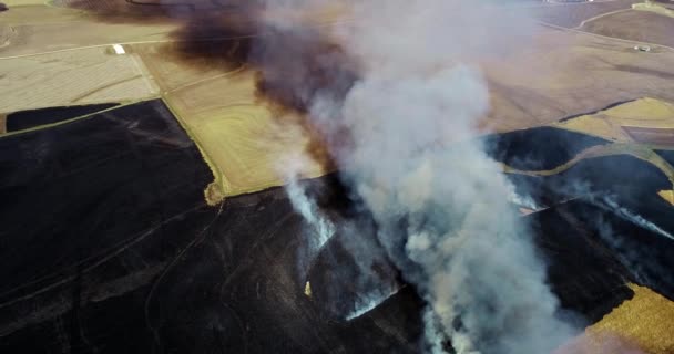 農地に囲まれた大規模な煙雲と草原の燃焼の空中ビュー — ストック動画