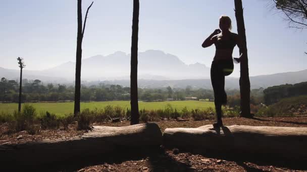 Una Mujer Haciendo Ejercicios Piernas Usando Tocón Árbol Aire Libre — Vídeos de Stock