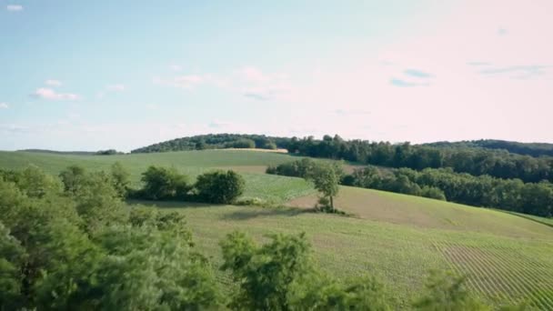 Lanzamiento Aéreo Rápido Vuelo Sobre Magníficas Granjas Verdes Bosques Verano — Vídeo de stock