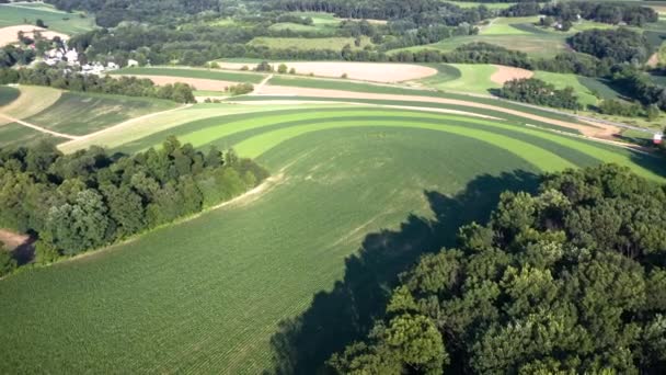 在农场上空的空中飞行 使庄稼倾斜到美丽的弯曲的形态 — 图库视频影像