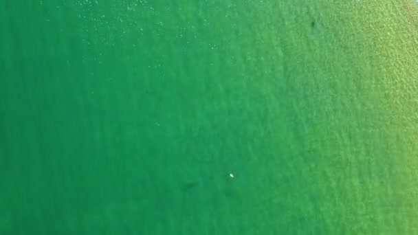 Blick Von Oben Auf Das Meer Mit Ruhigem Wasser Einem — Stockvideo