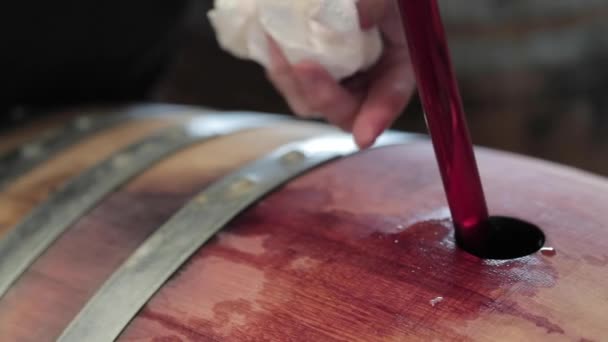 良いワイン樽からワインサンプルを取るワインメーカーのヴィンナーを閉じる — ストック動画