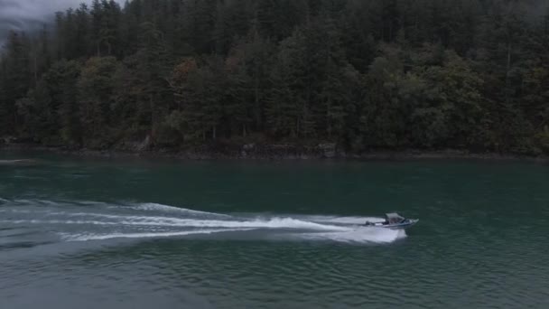 4K喷气艇快速驶入森林边河流的无人机镜头 — 图库视频影像