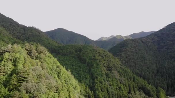 Flygdrönare Skott Japanska Berg Med Träd Och Ljus Från Den — Stockvideo
