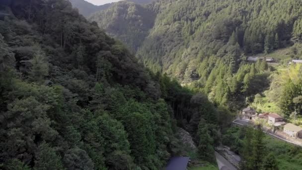 Panning Drone Πλάνο Των Βουνών Στην Ύπαιθρο Της Ιαπωνίας Πράσινα — Αρχείο Βίντεο