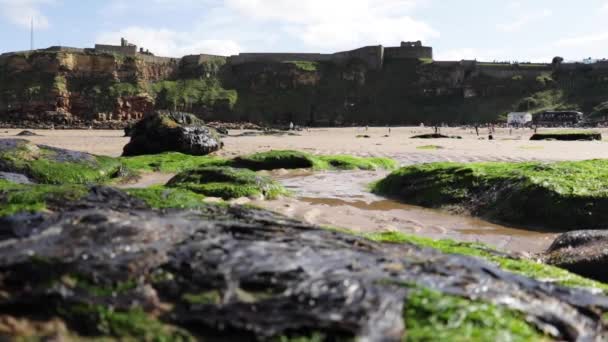 Panning Shot Van Een Zandstrand Omgeven Door Kliffen Rotsen Groen — Stockvideo