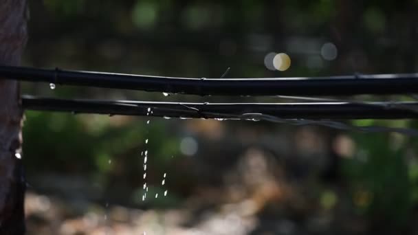 Druppels Water Die Langs Een Irrigatiewaterleiding Landbouw Lopen — Stockvideo