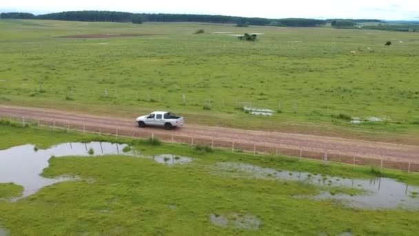 Tiro Aéreo Después Camión Blanco Conduciendo Por Pastizales Uruguay — Vídeo de stock