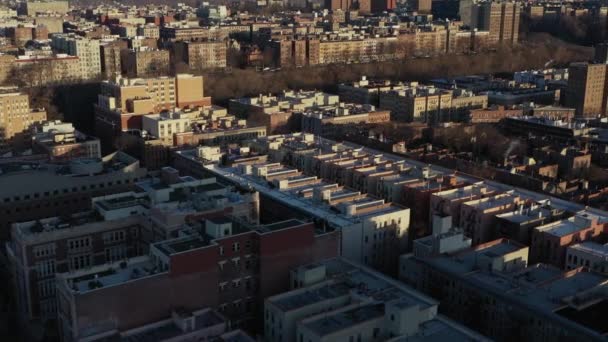 Диагональный Выстрел Воздуха Через Верхнюю Часть Гарлема Нью Йорк Золотой — стоковое видео