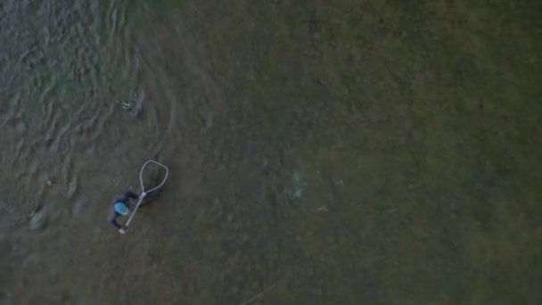 Drone Filmato Mosca Pescatore Bobina Grande Arcobaleno Trota Come Guida — Video Stock