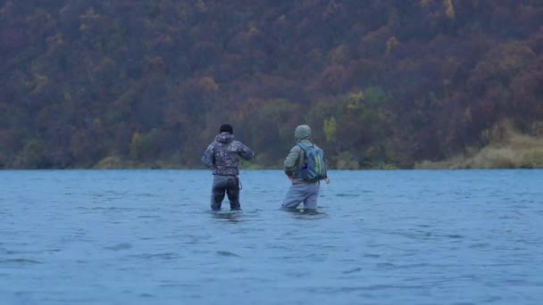 Guía Pesca Con Mosca Cliente Vadeando Río Naknek King Salmon — Vídeo de stock