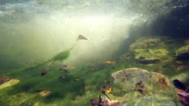Bajo Agua Justo Debajo Una Cascada Como Las Burbujas Brillo — Vídeos de Stock
