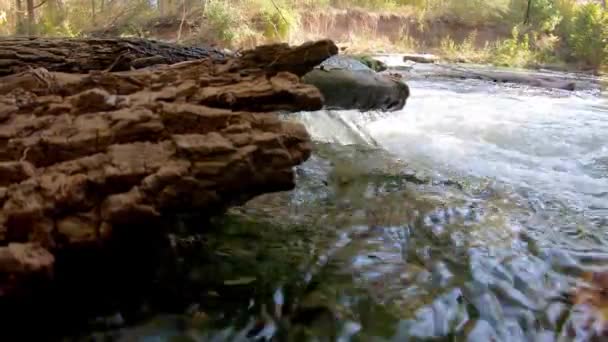 Puxando Para Trás Riacho Nível Água Com Dois Troncos Caídos — Vídeo de Stock