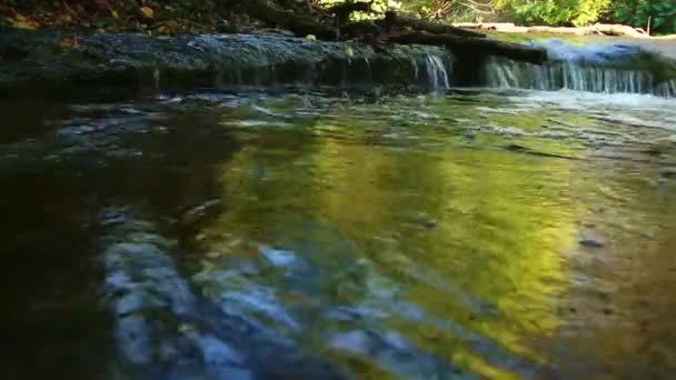 小小的瀑布落在一个很大的池子里 池子后面的树上反射出许多色彩 水虫在水面上跳来跳去 注意力不集中 水的颜色波涛汹涌 水流深沉 — 图库视频影像