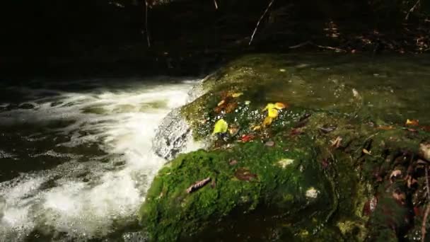 Enormes Algas Musgos Acumulan Parte Superior Cascada Donde Corriente Suficientemente — Vídeos de Stock